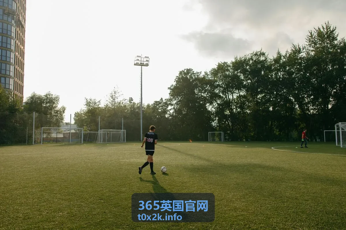 365英国官网 中英项目对接服务背景